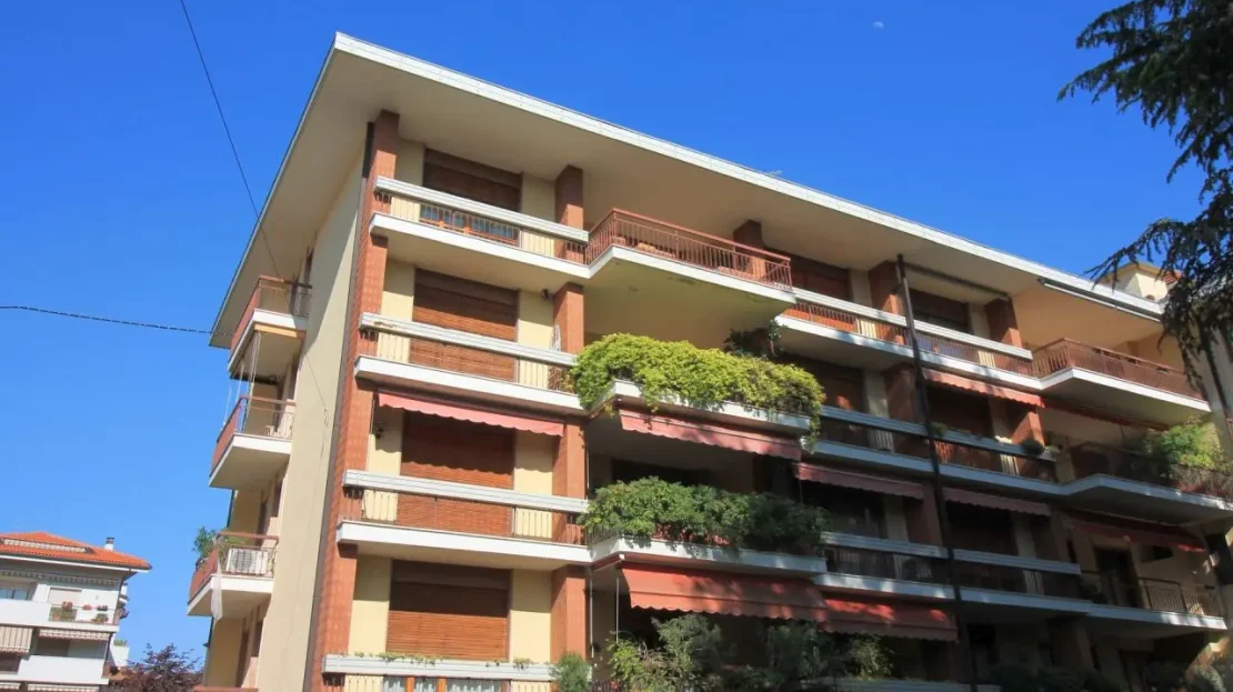 video image