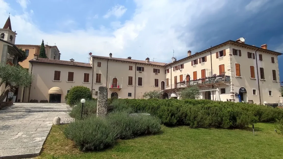 video image